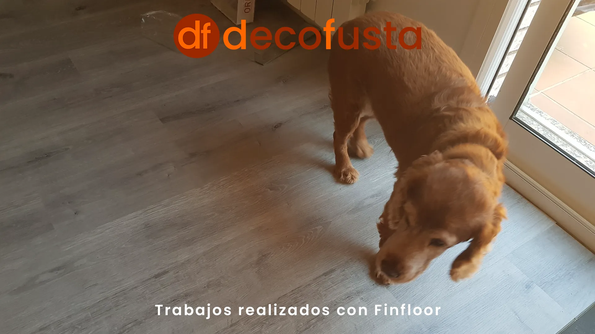 Trabajos realizados con Finfloor