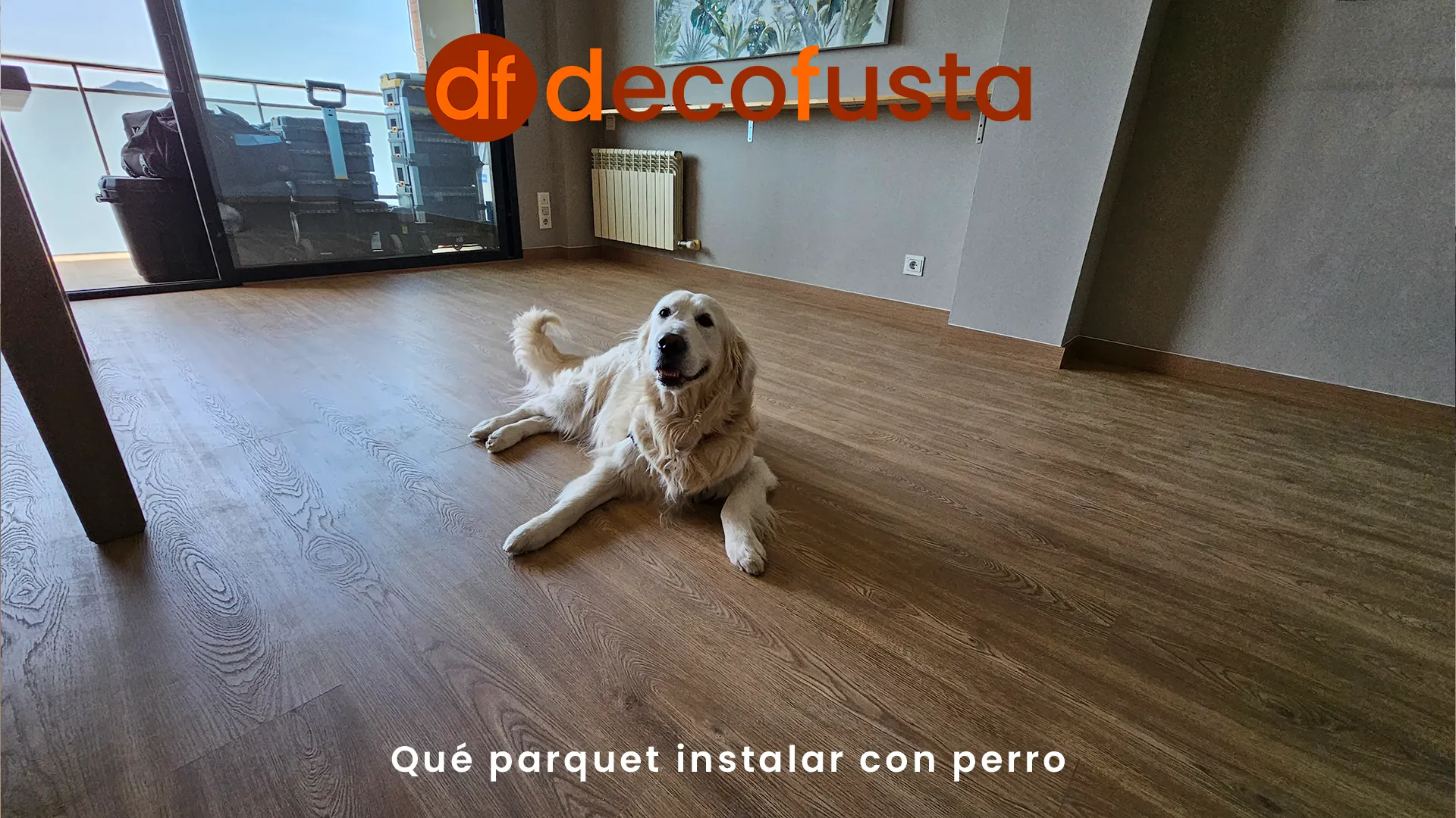 Qué parquet instalar con perro