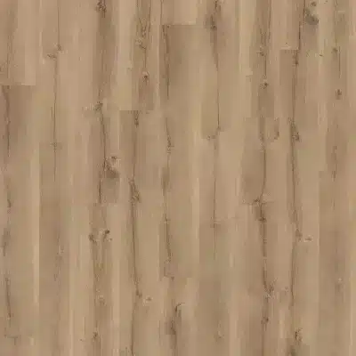 31x roble obelisque