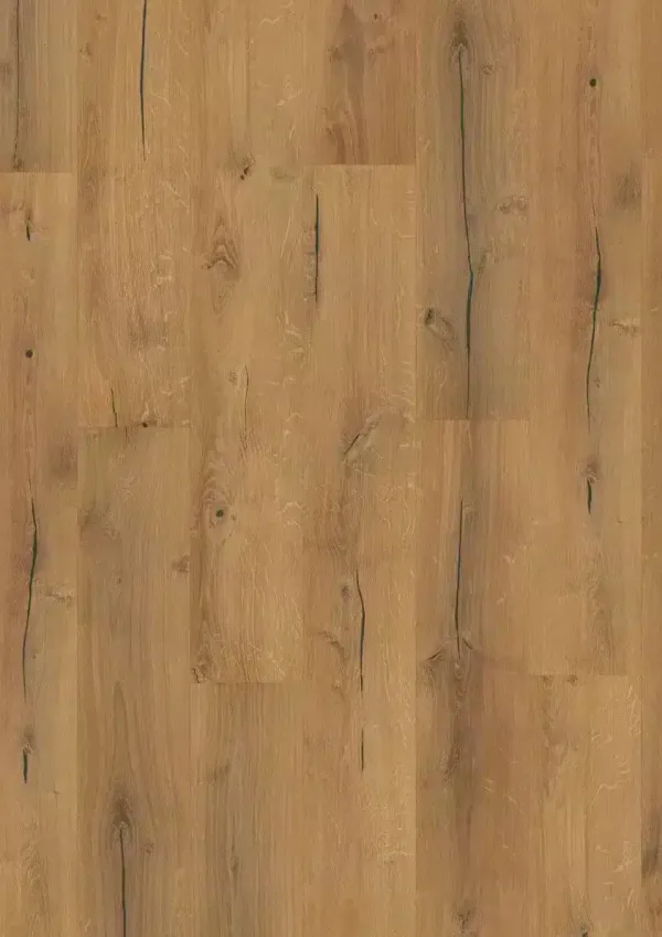 342b roble polka